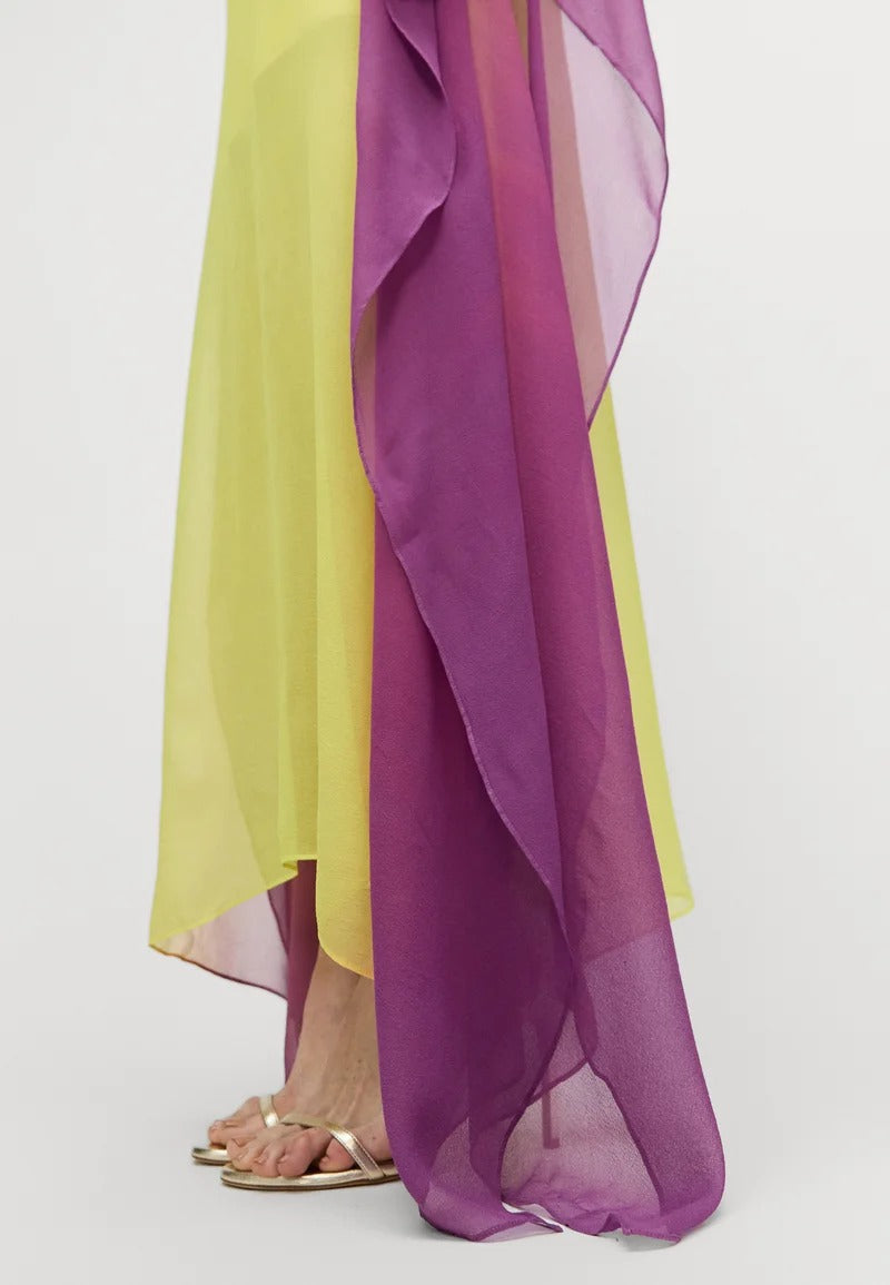 Ombre Maxi Dress